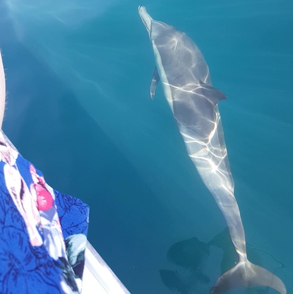 Meet your Posher, Kayla - Picture 3 of 4